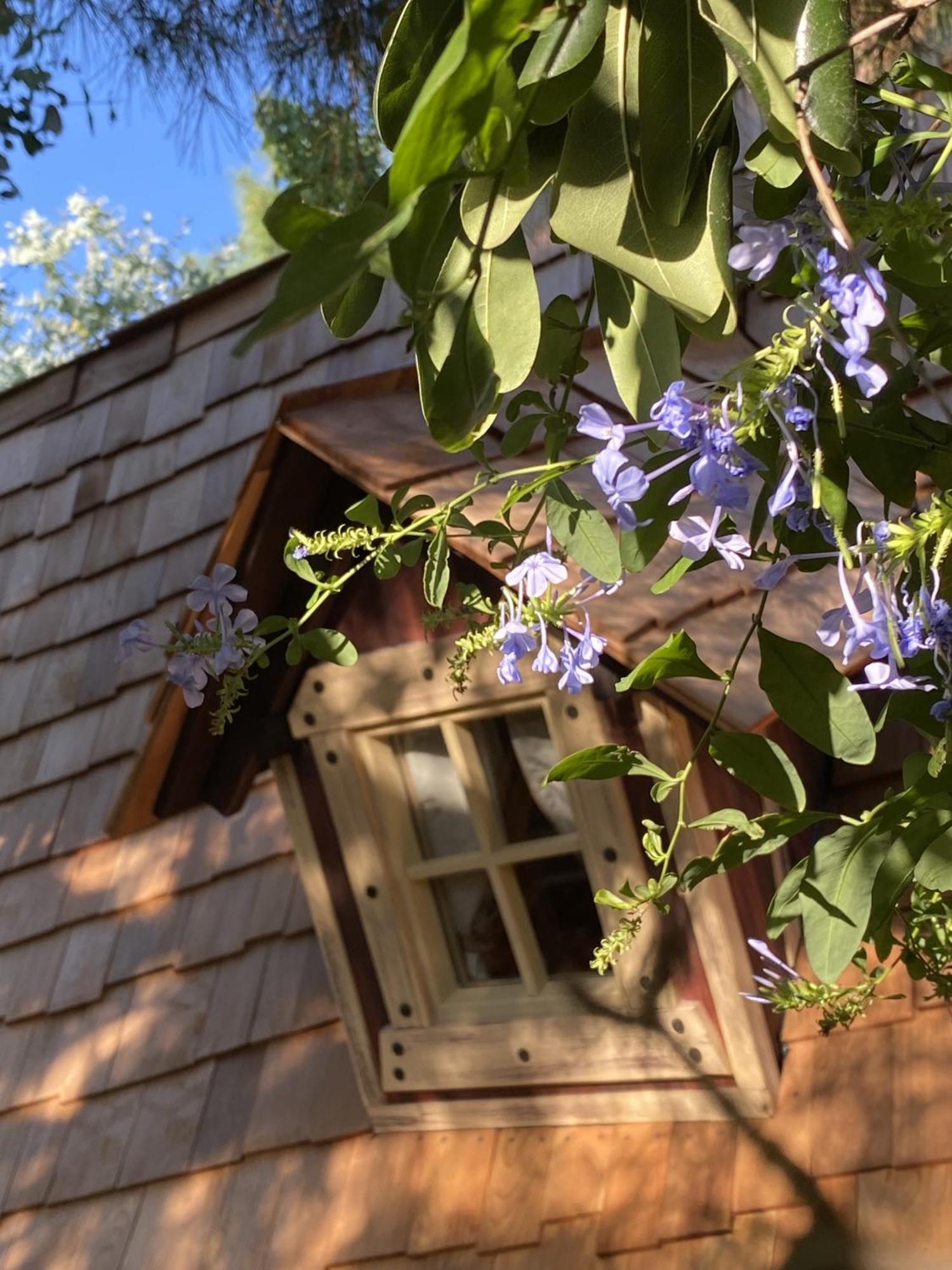 Mas Del Flor Bed & Breakfast Villelongue-dels-Monts Ruang foto