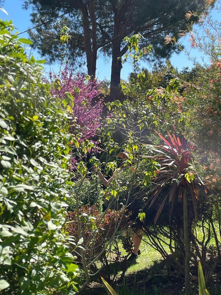 Mas Del Flor Bed & Breakfast Villelongue-dels-Monts Bagian luar foto