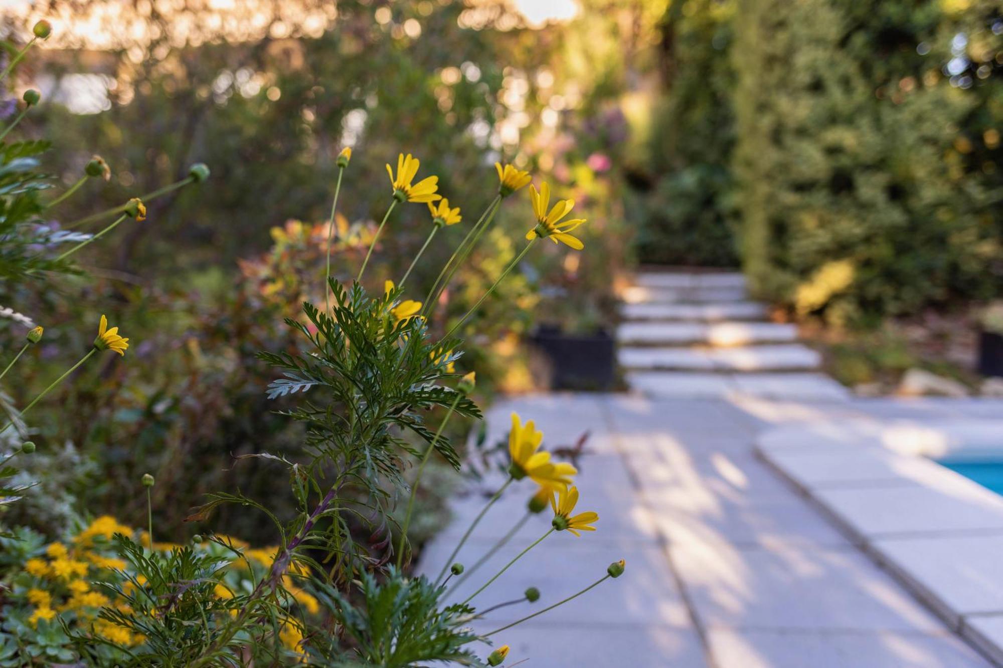 Mas Del Flor Bed & Breakfast Villelongue-dels-Monts Bagian luar foto